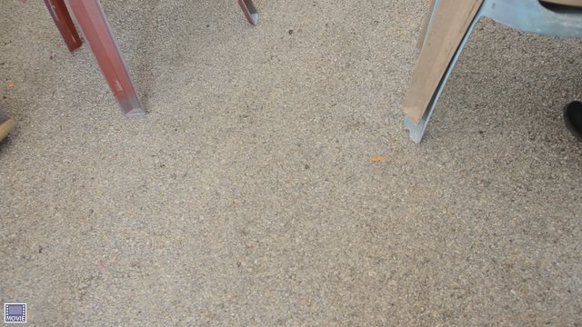 DSC 9902